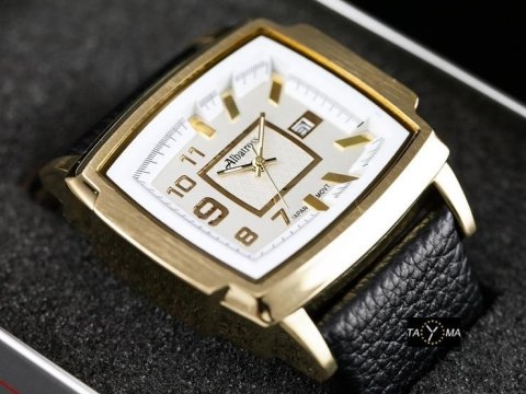 ZEGAREK MĘSKI ALBATROSS DISLE (za028a) - gold ZEGAREK MĘSKI ALBATROSS DISLE (za028a) - gold