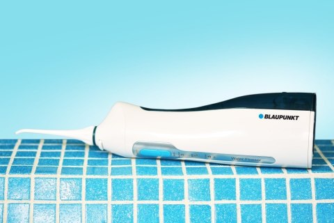 BLAUPUNKT DIR501 BLAUPUNKT DIR501