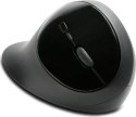 Mysz Bezprzewodowa KENSINGTON K75404EU Mysz Bezprzewodowa KENSINGTON K75404EU