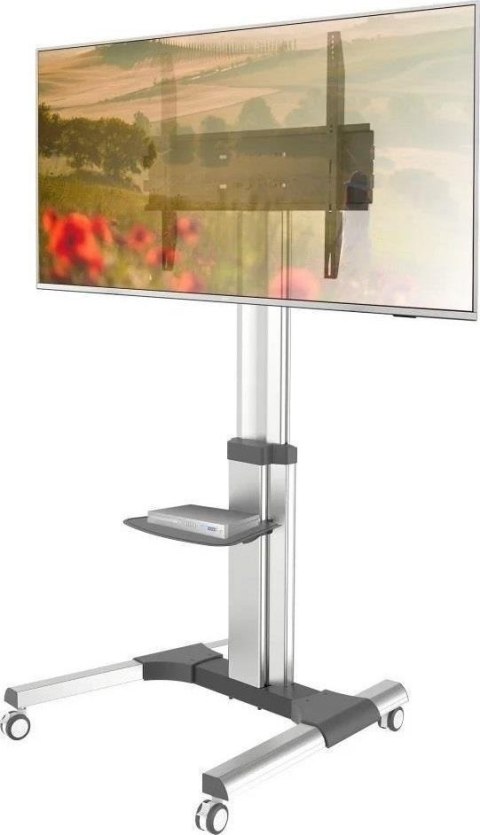 Uchwyt do TV TECHLY 366198 (nośność 70kg /50 - 90 cali)