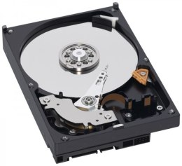 WD Caviar Blue 1 TB WD10EZEX (1TB /3.5