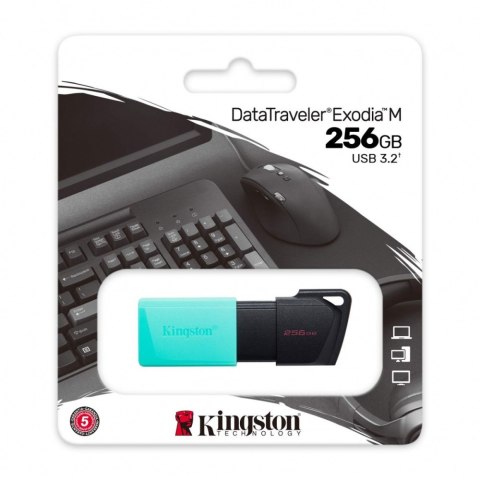Pendrive KINGSTON DTXM/256GB (256 GB /Czarno-miętowy ) Pendrive KINGSTON DTXM/256GB (256 GB /Czarno-miętowy )
