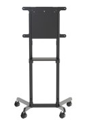 Uchwyt do TV NEWSTAR NS-M1250BLACK (nośność 70kg /37 - 70 cali) Uchwyt do TV NEWSTAR NS-M1250BLACK (nośność 70kg /37 - 70 cali)