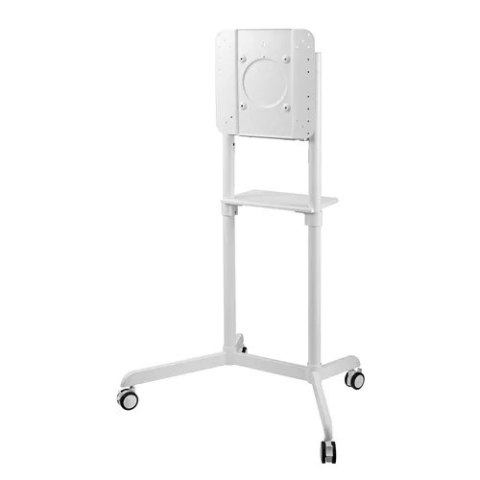 Uchwyt do TV NEOMOUNTS BY NEWSTAR NS-M1250WHITE (nośność 70kg /37 - 70 cali) Uchwyt do TV NEOMOUNTS BY NEWSTAR NS-M1250WHITE (nośność 70kg /37 - 70 cali)