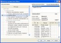 Program INSERT Rewizor GT