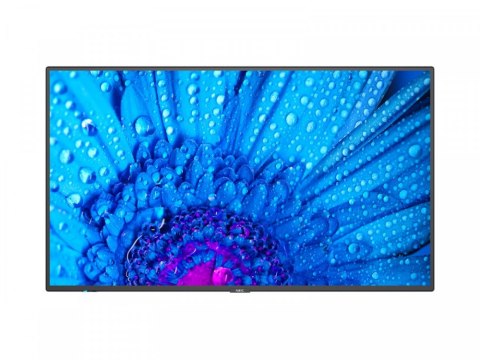 Monitor NEC 60005061 (65" /IPS /60Hz /3840 x 2160 /Czarny) Monitor NEC 60005061 (65" /IPS /60Hz /3840 x 2160 /Czarny)