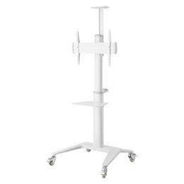 Uchwyt do TV TECHLY ICA-TR48W (nośność 70kg /37 - 70 cali)
