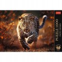 Puzzle Photo Odyssey: Dziki Leopard 1000 elementów Trefl premium plus 10818 Puzzle Photo Odyssey: Dziki Leopard 1000 elementów Trefl premium plus 10818