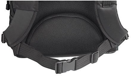 Plecak TARGUS Campus Laptop Backpack Czarny TEB01 (maks.16"/Czarny) Plecak TARGUS Campus Laptop Backpack Czarny TEB01 (maks.16"/Czarny)