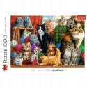 Puzzle Kocie Spotkanie Koty 1000 elementów Trefl 10555 Puzzle Kocie Spotkanie Koty 1000 elementów Trefl 10555