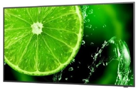 Monitor NEC 60005054 (54.6" /IPS /60Hz /3840 × 2160 /Czarny ) Monitor NEC 60005054 (54.6" /IPS /60Hz /3840 × 2160 /Czarny )