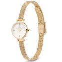 ZEGAREK DAMSKI DANIEL WELLINGTON Petite Mini Gold Stainless Steel 19mm DW00100745 + BOX (zw523b) ZEGAREK DAMSKI DANIEL WELLINGTON Petite Mini Gold Stainless Steel 19mm DW00100745 + BOX (zw523b)