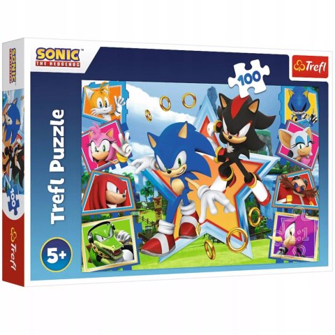 Puzzle Sonic 100 elementów Poznaj Sonica Trefl 16465 Puzzle Sonic 100 elementów Poznaj Sonica Trefl 16465