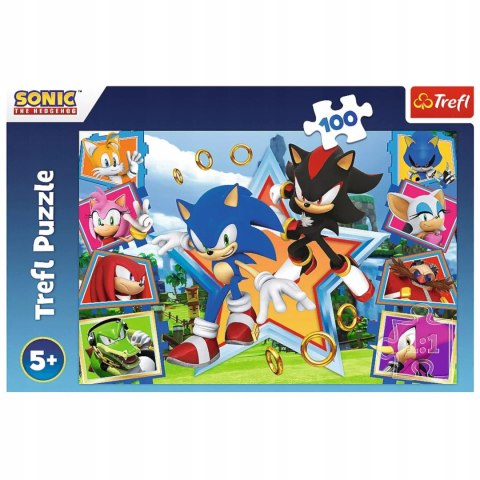 Puzzle Sonic 100 elementów Poznaj Sonica Trefl 16465 Puzzle Sonic 100 elementów Poznaj Sonica Trefl 16465