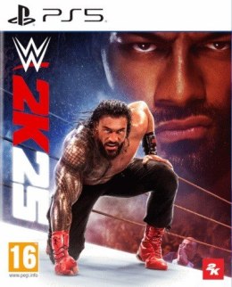 Gra WWE 2K25 na PlayStation 5