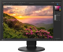 Monitor EIZO ColorEdge CS2400S (24.1