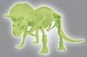 SKAMIENIAŁOŚCI TRICERATOPS NAUKOWA ZABAWA #G2