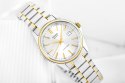 Zegarek Damski CASIO LTP-1183G-7ADF + BOX Zegarek Damski CASIO LTP-1183G-7ADF + BOX