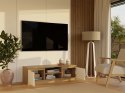 RTV Malwa 120 ARTISAN BIEL