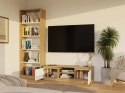 RTV Malwa 120 ARTISAN BIEL