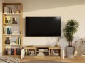 RTV Malwa 120 ARTISAN BIEL