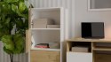 Komoda ALMA Front DĄB ARTISAN Korpus BIEL Komoda ALMA Front DĄB ARTISAN Korpus BIEL
