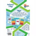 Gra planszowa Państwa i flagi Trefl 01953 Gra planszowa Państwa i flagi Trefl 01953