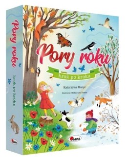 PORY ROKU KROK PO KROKU