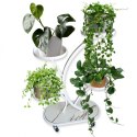 Blumenständer, Bücherregal, Metall Blumenständer auf Rädern 50x 25x 80cm SZ43B