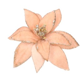 Gwiazda betlejemska na klipsie śr. 13cm