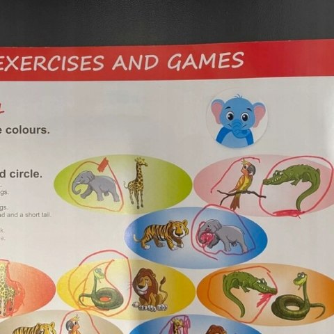 Naklejki dla Dzieci 500 szt. - 8 Wzorów Rolka 2,5 cm