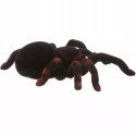 Duży pająk zdalnie sterowany na pilot chodzi jak prawdziwy, duża Tarantula