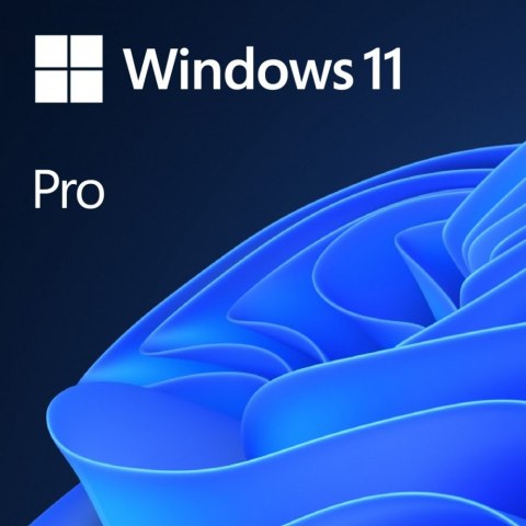 System operacyjny MICROSOFT Windows 11 Pro N All Lang x64 ESD