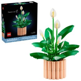 LEGO Botanical Collection Skrzydłokwiat 11504