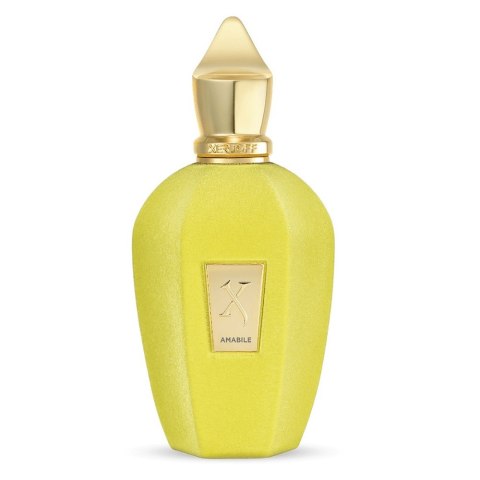 Xerjoff Amabile woda perfumowana spray 100ml (P1) Xerjoff Amabile woda perfumowana spray 100ml (P1)