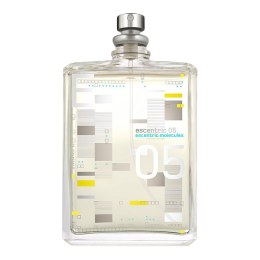 Escentric Molecules Escentric 05 woda toaletowa spray 100ml (P1)