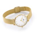 ZEGAREK DAMSKI DANIEL WELLINGTON DW00100346 - Petite Evergold 36mm ZEGAREK DAMSKI DANIEL WELLINGTON DW00100346 - Petite Evergold 36mm