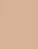 Shiseido 250 Sand Synchro Skin Self-Refreshing Custom Finish Powder Foundation Podkład kompaktowy 9 g (W) (P2)