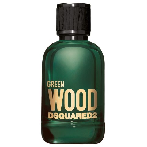 Dsquared2 Green Wood Pour Homme woda toaletowa spray 100ml (P1)