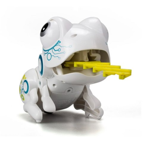 Robo frog DUMEL Robo frog DUMEL
