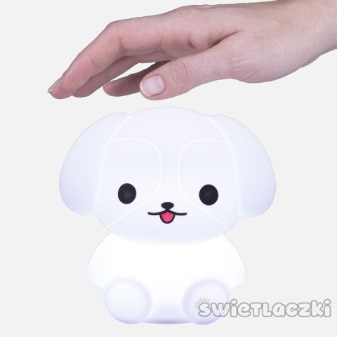Świetlaczek piesełek mm027 Świetlaczek piesełek mm027
