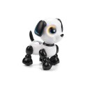 Robo heads up puppy DUMEL Robo heads up puppy DUMEL