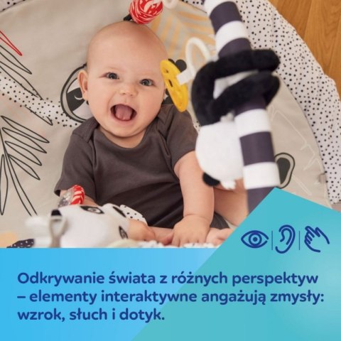 Sens. mata eduk. z lusterkiem Sens. mata eduk. z lusterkiem