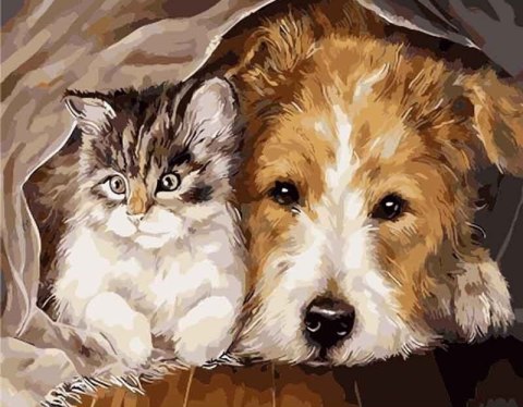 Duży obraz Malowanie po numerach Piesek i kotek 40 x 50 cm Duży obraz Malowanie po numerach Piesek i kotek 40 x 50 cm