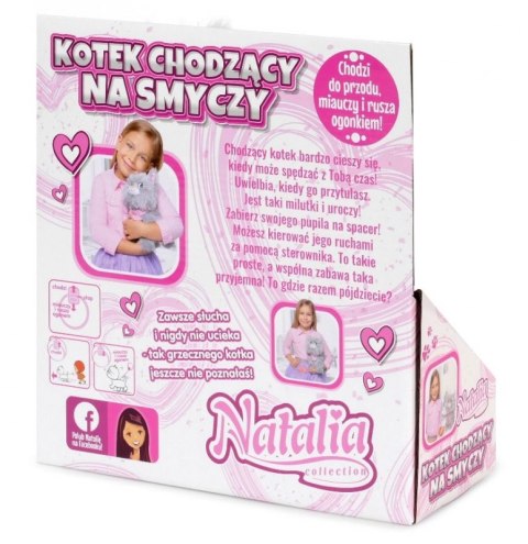 Duży śliczny kotek chodzi miauczy rusza ogonkiem Natalia Duży śliczny kotek chodzi miauczy rusza ogonkiem Natalia