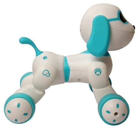 STEROWANY PIESEK ROBOT FAFIK MÓWI ŚPIEWA POLSKU JEŹDZI# G2 STEROWANY PIESEK ROBOT FAFIK MÓWI ŚPIEWA POLSKU JEŹDZI# G2