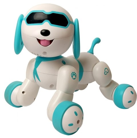 STEROWANY PIESEK ROBOT FAFIK MÓWI ŚPIEWA POLSKU JEŹDZI# G2 STEROWANY PIESEK ROBOT FAFIK MÓWI ŚPIEWA POLSKU JEŹDZI# G2