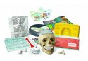 ZWARIOWANA ANATOMIA LABORATORIUM CLEMENTONI #G3 ZWARIOWANA ANATOMIA LABORATORIUM CLEMENTONI #G3