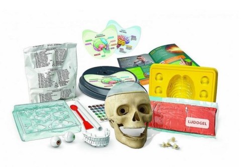 ZWARIOWANA ANATOMIA LABORATORIUM CLEMENTONI #G3 ZWARIOWANA ANATOMIA LABORATORIUM CLEMENTONI #G3
