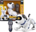 Zdalnie sterowany Robopiesek sztuczki programowanie Zdalnie sterowany Robopiesek sztuczki programowanie